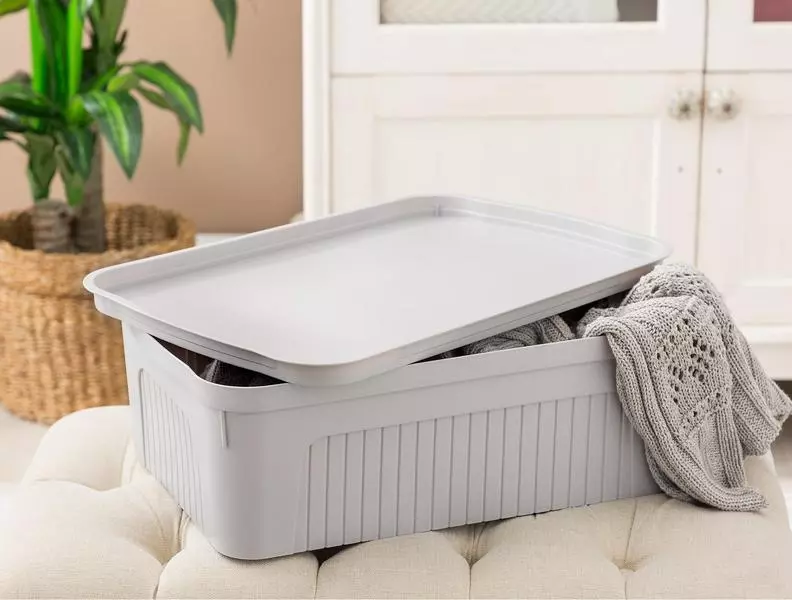 Densy Box With Lid 17 Lt