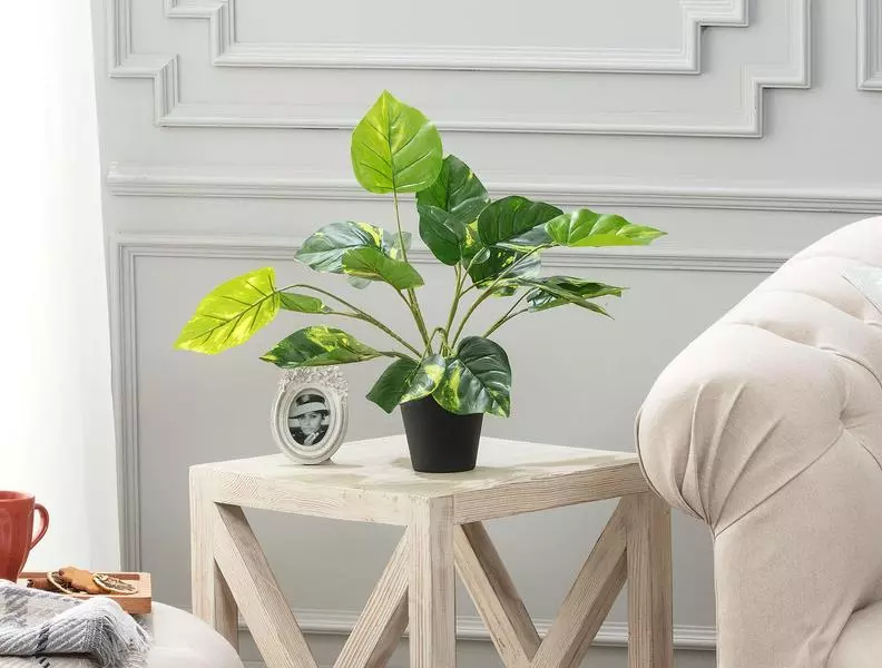 https://cdn.madamecocolebanon.com/www.madamecocolebanon.com/public/data/products_gallery_600_600/666ab4e87e9e6.webp
